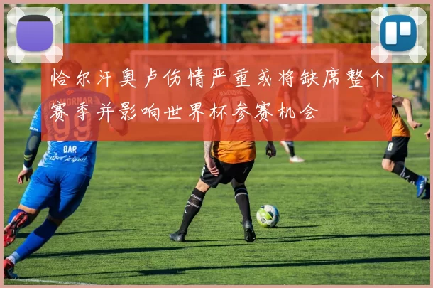 恰尔汗奥卢伤情严重或将缺席整个赛季并影响世界杯参赛机会