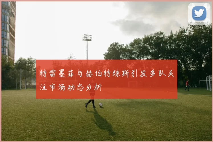 特雷墨菲与赫伯特琼斯引发多队关注市场动态分析
