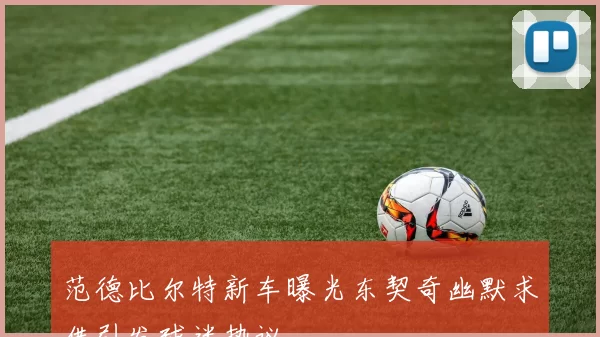 范德比尔特新车曝光东契奇幽默求借引发球迷热议