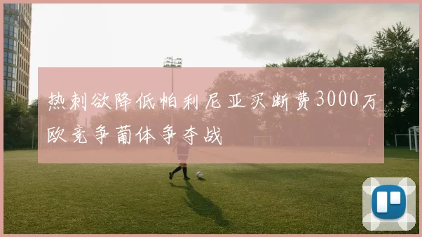 热刺欲降低帕利尼亚买断费3000万欧竞争葡体争夺战
